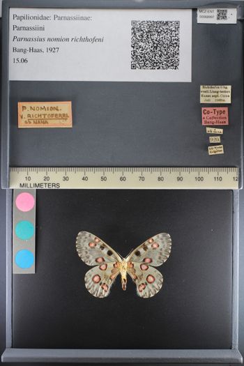 Media type: image;   Entomology 68997